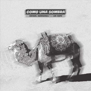 Como una Sombra (feat. Sir Hope)