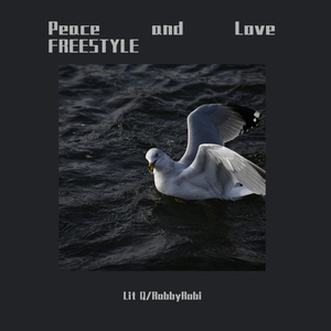Peace and Love FREESTYLE （prod.PUNISHME）