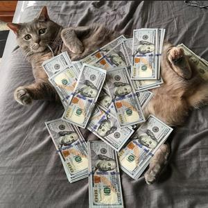 SPEND IT ALL (feat. Vee4r & Lyretrix) (og version)