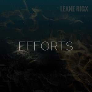 Efforts