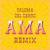 Paloma del Cerro - Almitai (Rodrigo Gallardo Remix)
