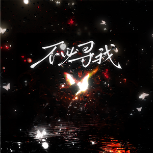 不必寻我 伴奏