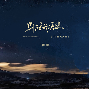 別陪我流浪 (DJ版)