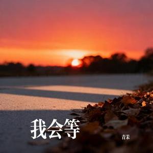 我会等 (Cover 七元)