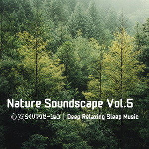 森の風景の調べ