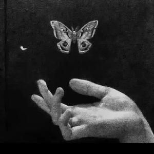 'Arigato' NY Drill Instrumental 2022