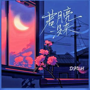 若月亮没来（DJWH版）