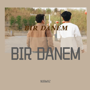 BIR DANEM