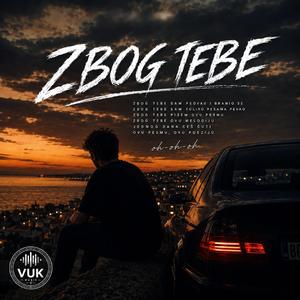 ZBOG TEBE (Radio Edit)