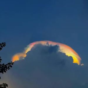 残 诗(Broken Psalm)