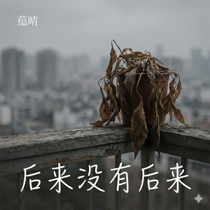 后来没有后来