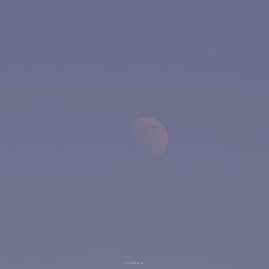 Good To Me（翻自 小17）