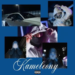 KAMELEONY (feat. Skibovicz & Pakal)