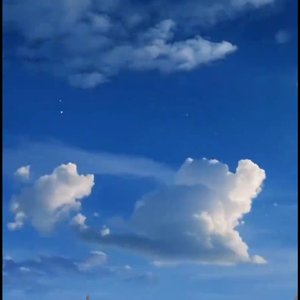 新茶之韵