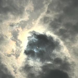 possibly in michigan