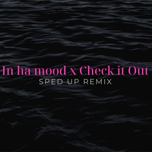 In Ha Mood x Check It Out (Sped Up) (Remix)