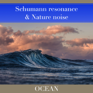 シューマン共振と自然のノイズ - 海 -