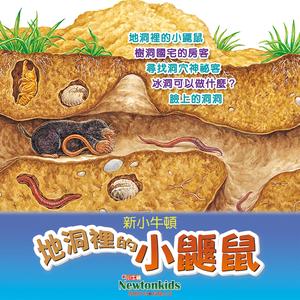脸上的洞洞