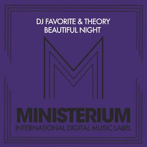 Beautiful Night (DJ Flight Remix)