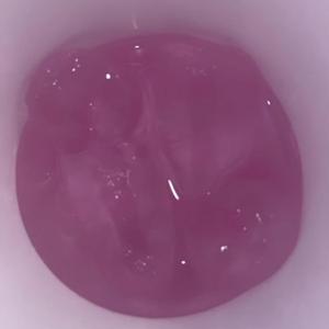 Bippers (feat. Losoffline)