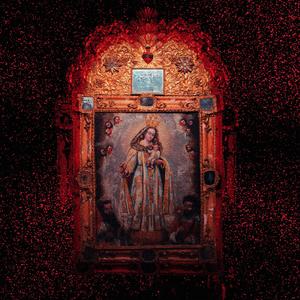 Volar al sol (En Vivo)