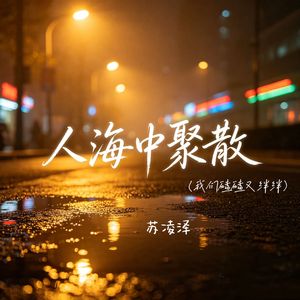 人海中聚散（我们磕磕又绊绊）