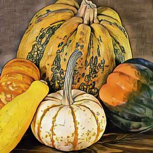 Encephalitis Human Botfly