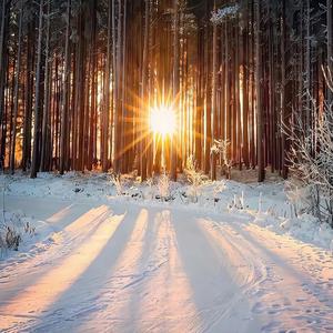 想揍他一拳叫他滚远