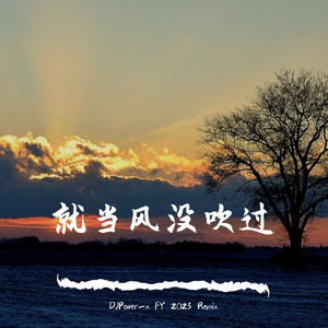 张俊波 - 就当风没吹过-DJPower_xDJFY 2023 Remix Uk Hardcore
