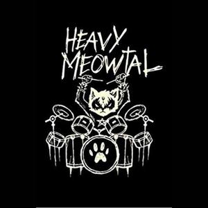 S t a r g a z e r's (Instrumental Rock)