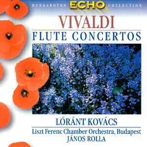 Flute Concerto in G Minor, Op. 10 No. 2, RV 439 "La notte":VI. Allegro
