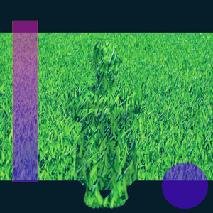 Driving In The Night