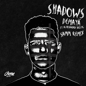 Shadows (Samm (BE) Remix)