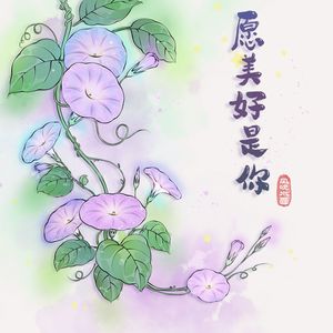 愿美好是你