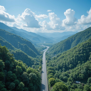 未来への架け橋