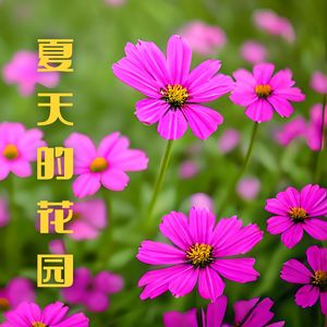 清晨第一缕阳光