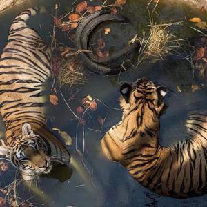 断了乱了-（DJ版）