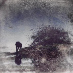 Wish You Weren’t Here