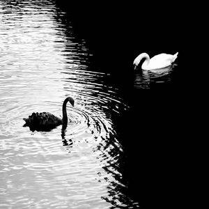 你到底要我怎么样