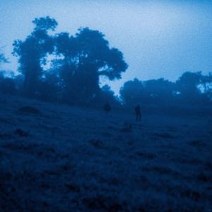 crying on your shoulder again