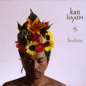 Oyasumi / おやすみ