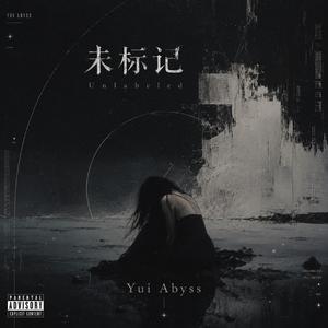 未标记 (Unlabeled)