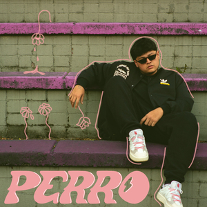 Perro
