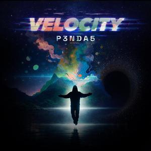 Velocity