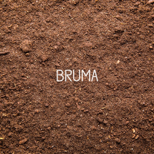 Bruma