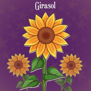 Girasol