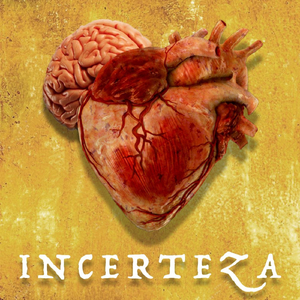 Incerteza