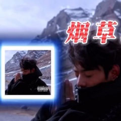 【丁真】烟草地