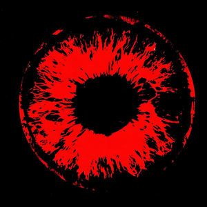 Trace (Extended Version)