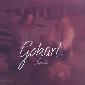 Gokart